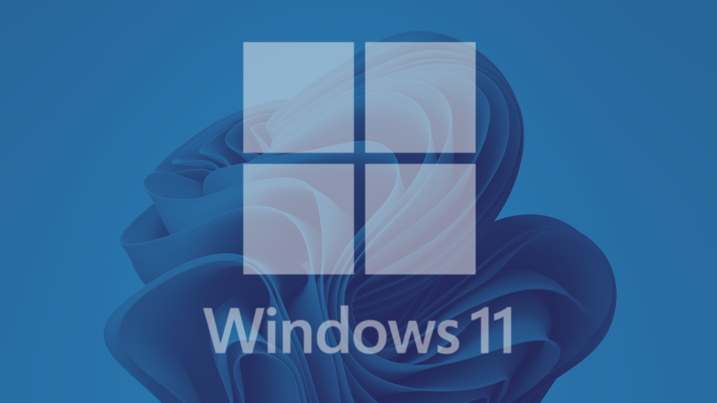 windows 11