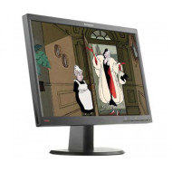 Monitor kasutatud Lenovo LT2252PW, 22-tolline LCD, 1680 x 1050, VGA, DVI, DisplayPort, laiekraan