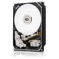 Serveur de disque dur d'occasion Western Digital, 10 To, 7,2K, SAS, 256 Mo de cache